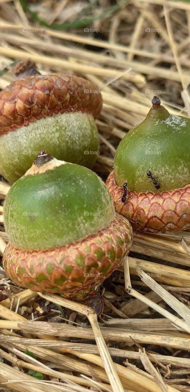 Upload photo on the week