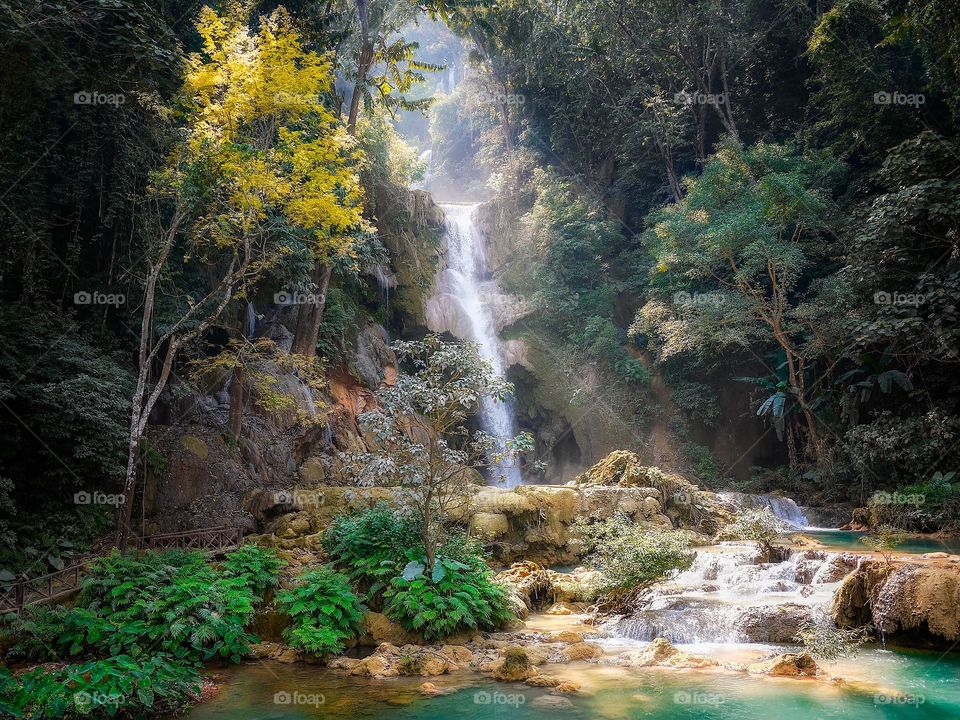 the small fall and forest