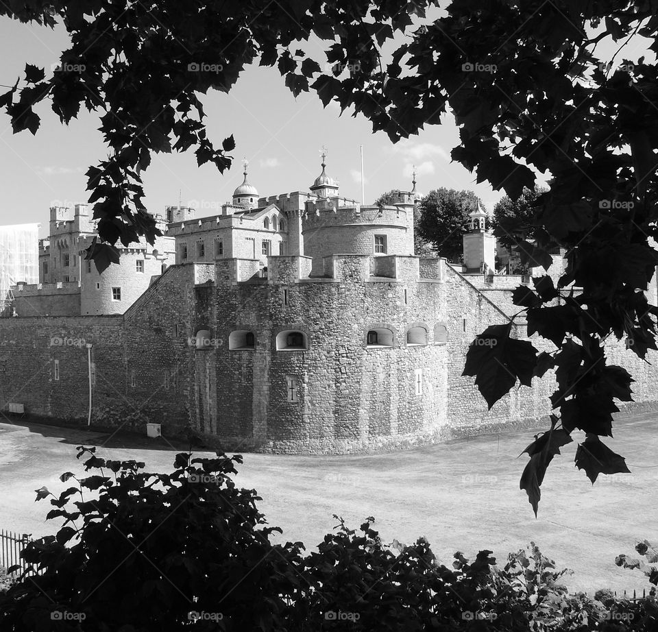 The both famous and infamous London Tower framed through tree leaves in a black and white photograph on a sunny summer day. 
