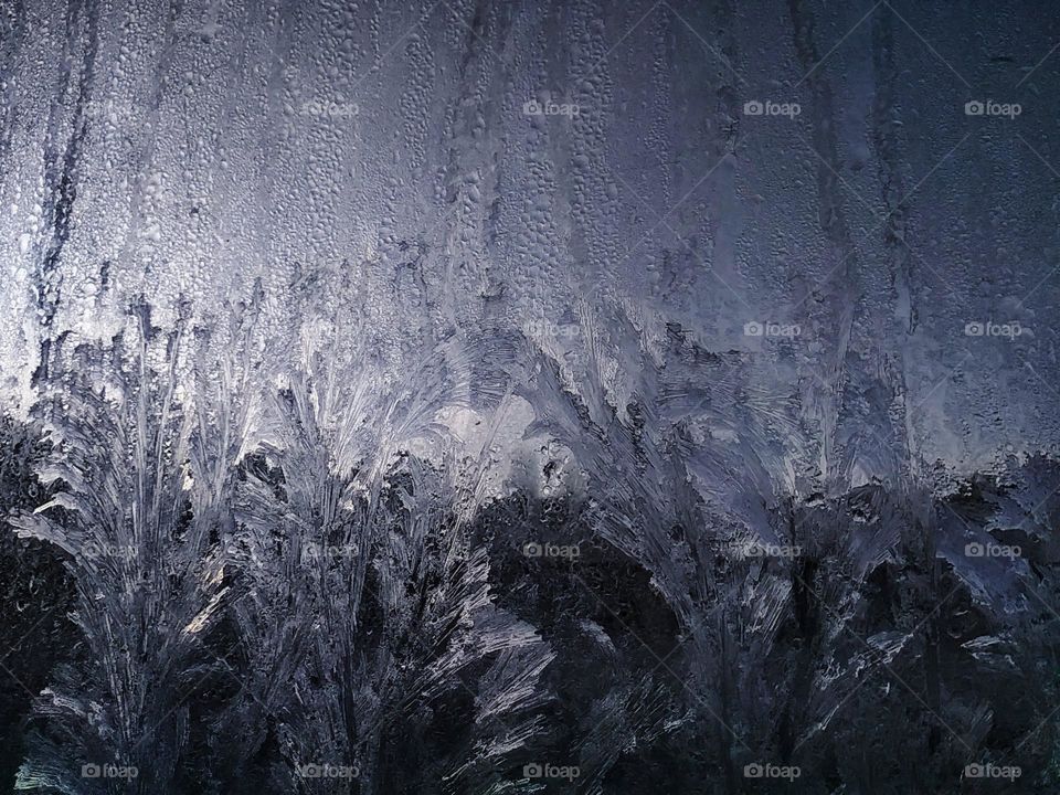 Frost ferns on window. Beautiful winter