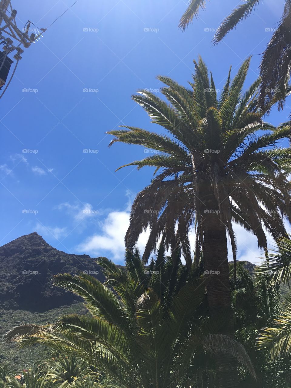 Teide Tenerife, June Holiday