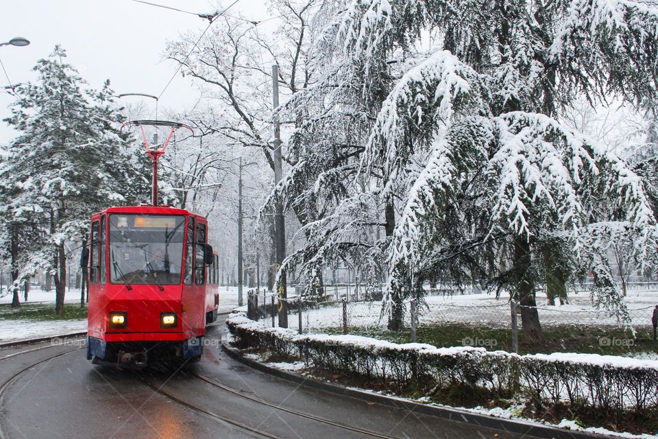 An old red tram at the starting station in a snow-covered city park.  Belgrade, Serbia