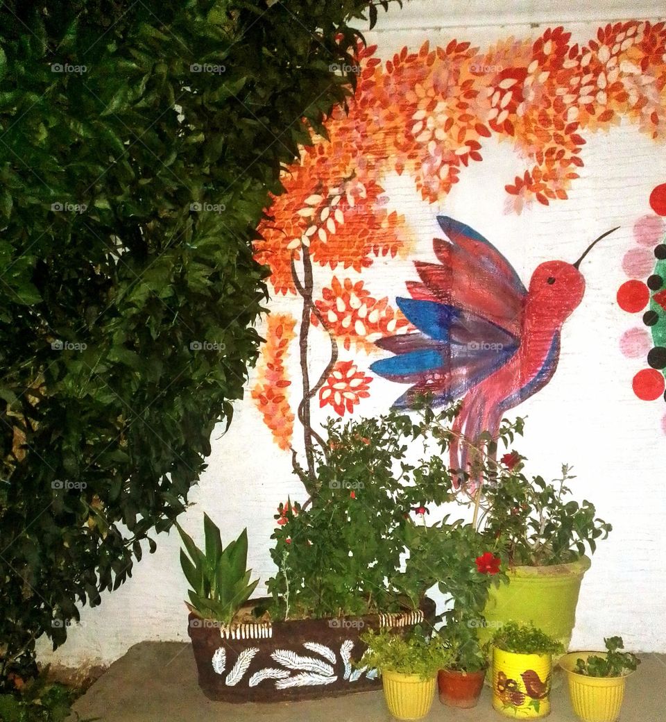 Urban nature: plants