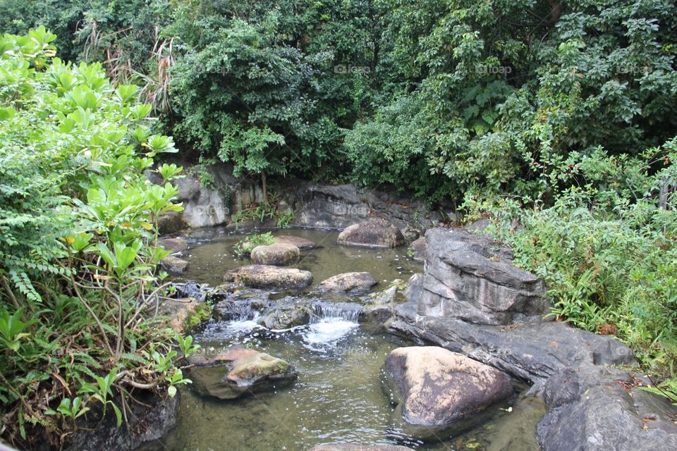 Urban View: Hong Kong