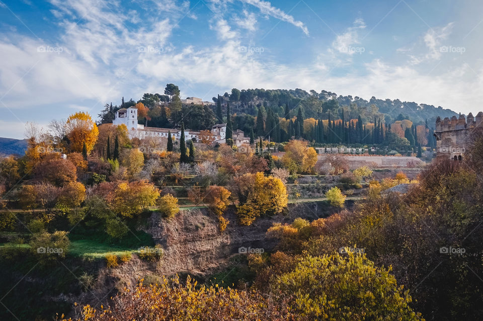 Beautiful foliage in Granada