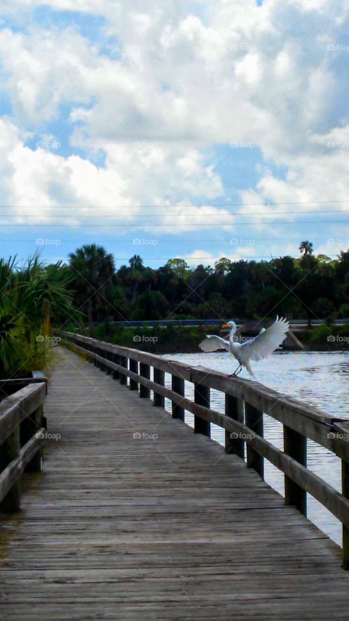 Water, No Person, Travel, Nature, Beach