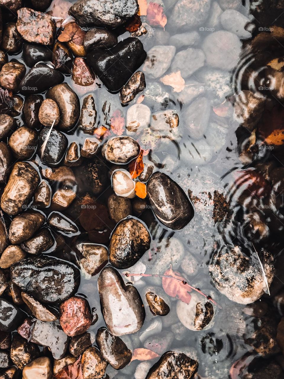 Overhead of water while rain 