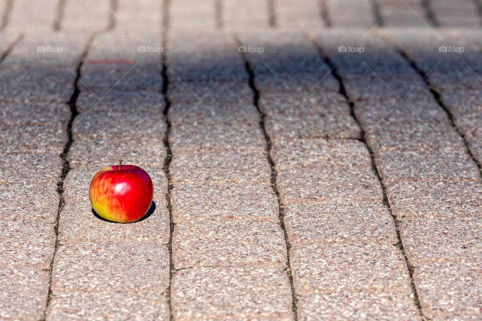 Footpath brick blocks with red apple, the beautiful pathway in the public park in the morning.