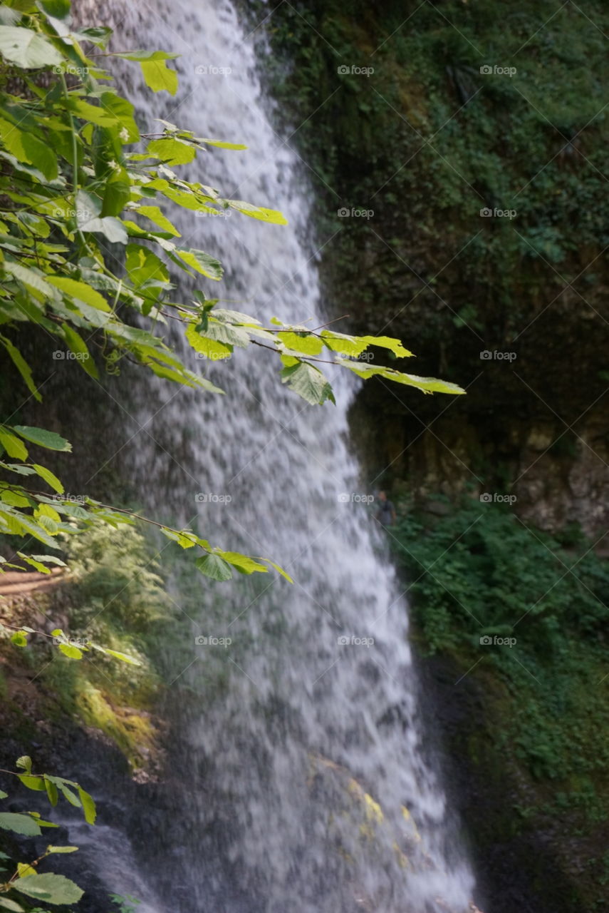 Waterfall. Silver creek falls