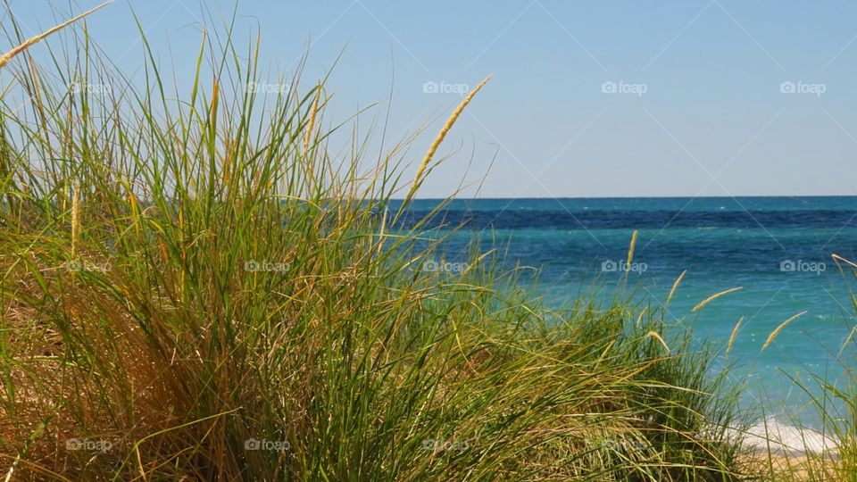 Summer windy day at the beach