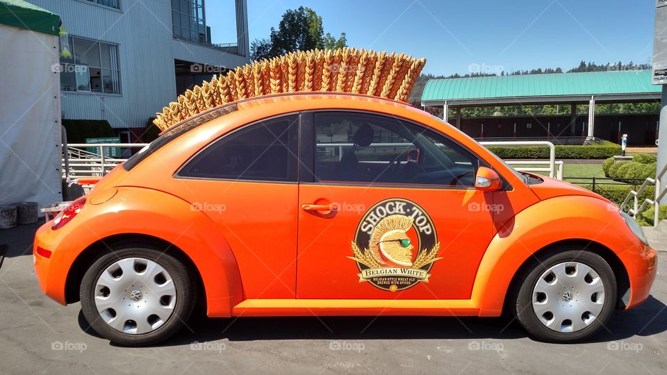 Shock Top Bug. saw this at the emeralds down at the horse races