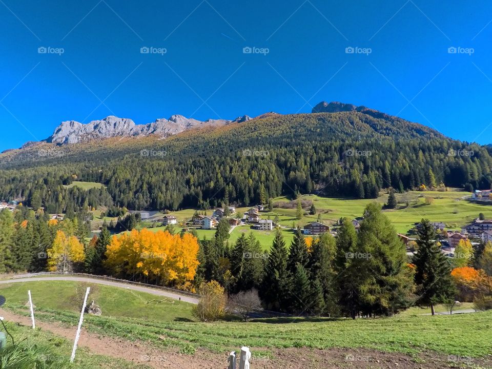 Autumn in the mountain 