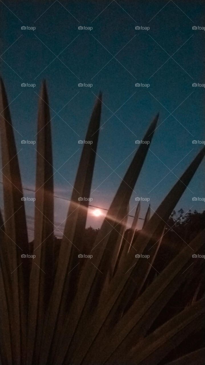 Noite de Lua cheia.Bela