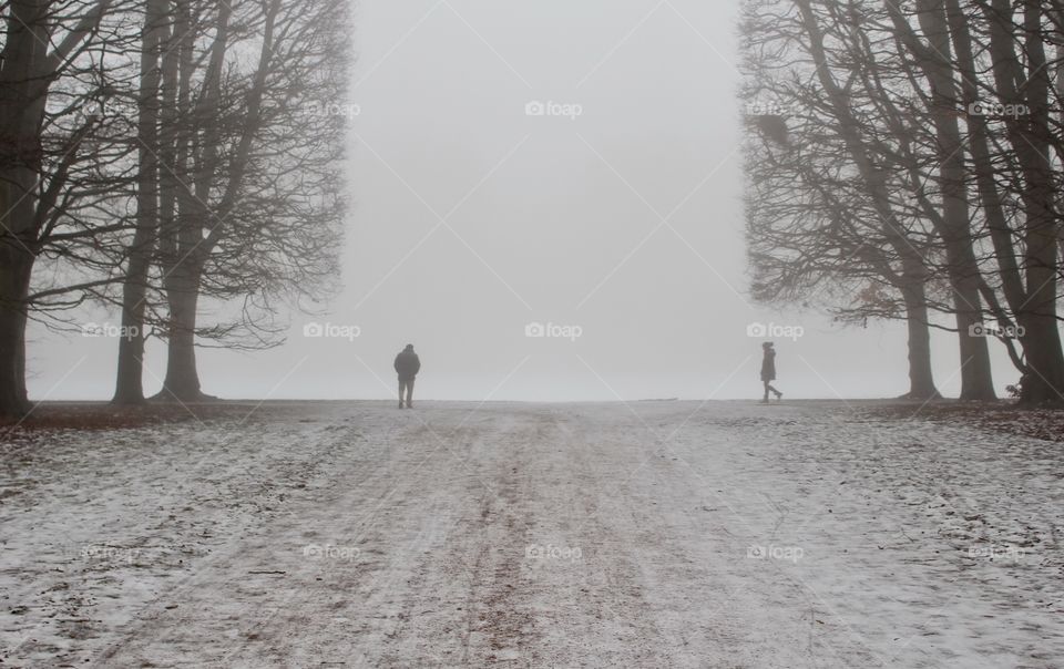 Foggy winter, Malmö, Sweden
