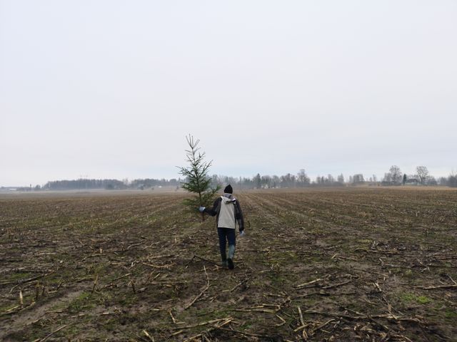 Rear view of man holding Christmas tree