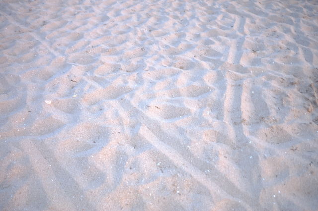 Sea