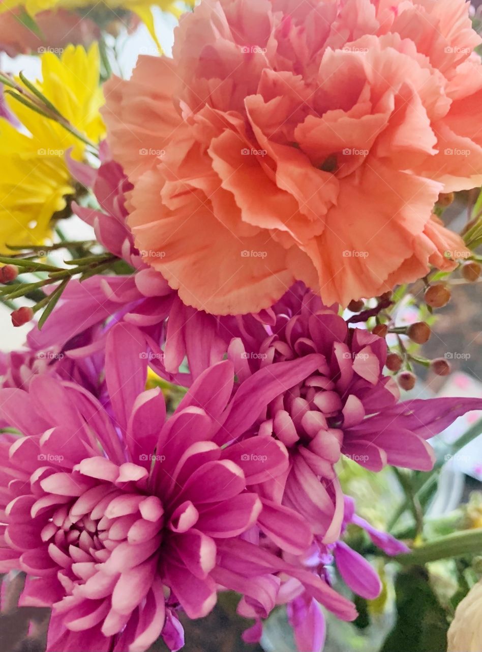 Carnations - Floral arrangements- hot pink and bright orange flowers in bloom 
