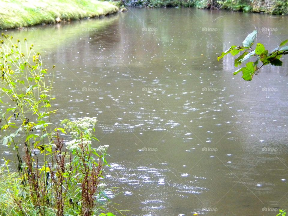 Raindrops in the water