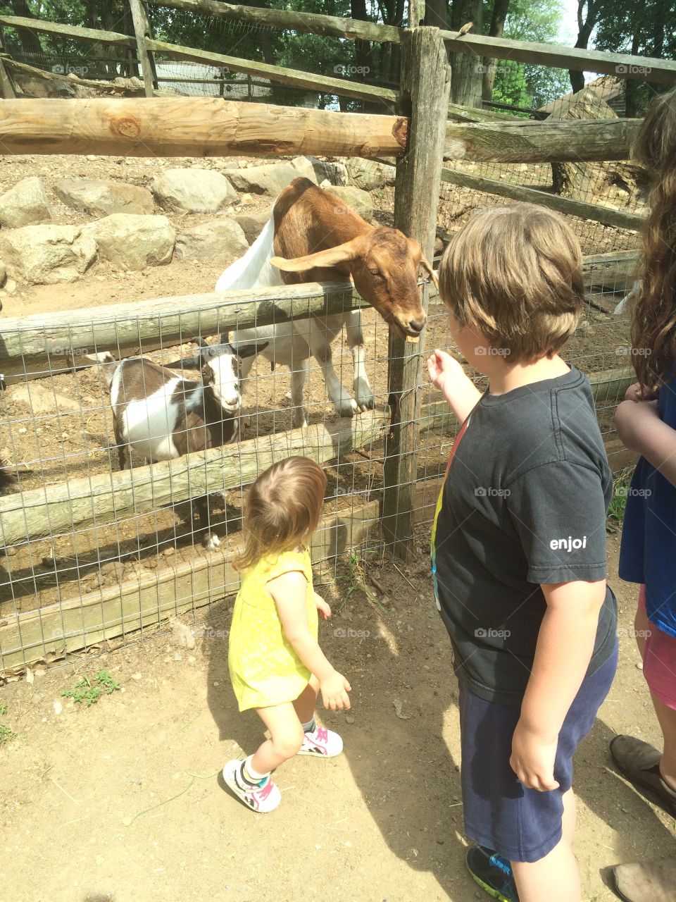 Farm, siblings, Down syndrome, goat