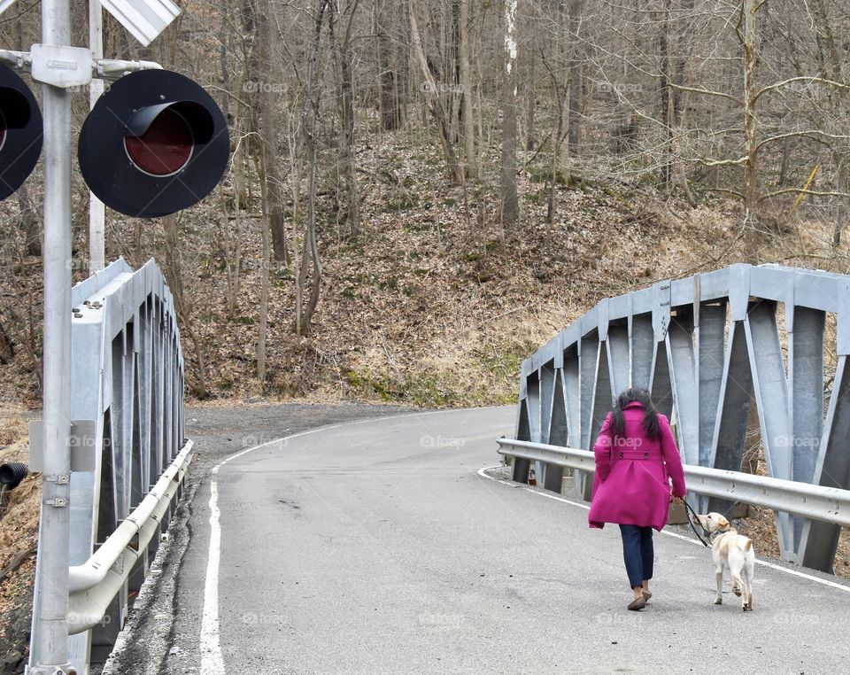 Walking dog across a bridge 