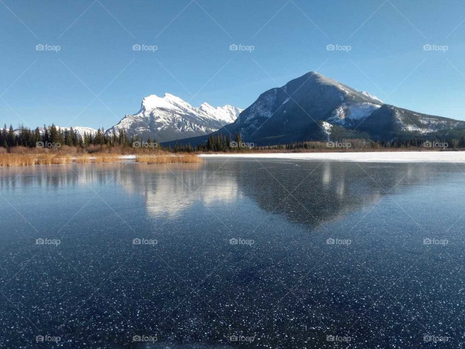 Frozen Reflections