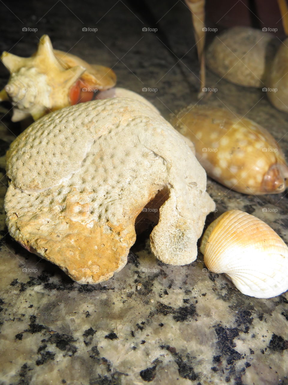 lembrancinhas do mar