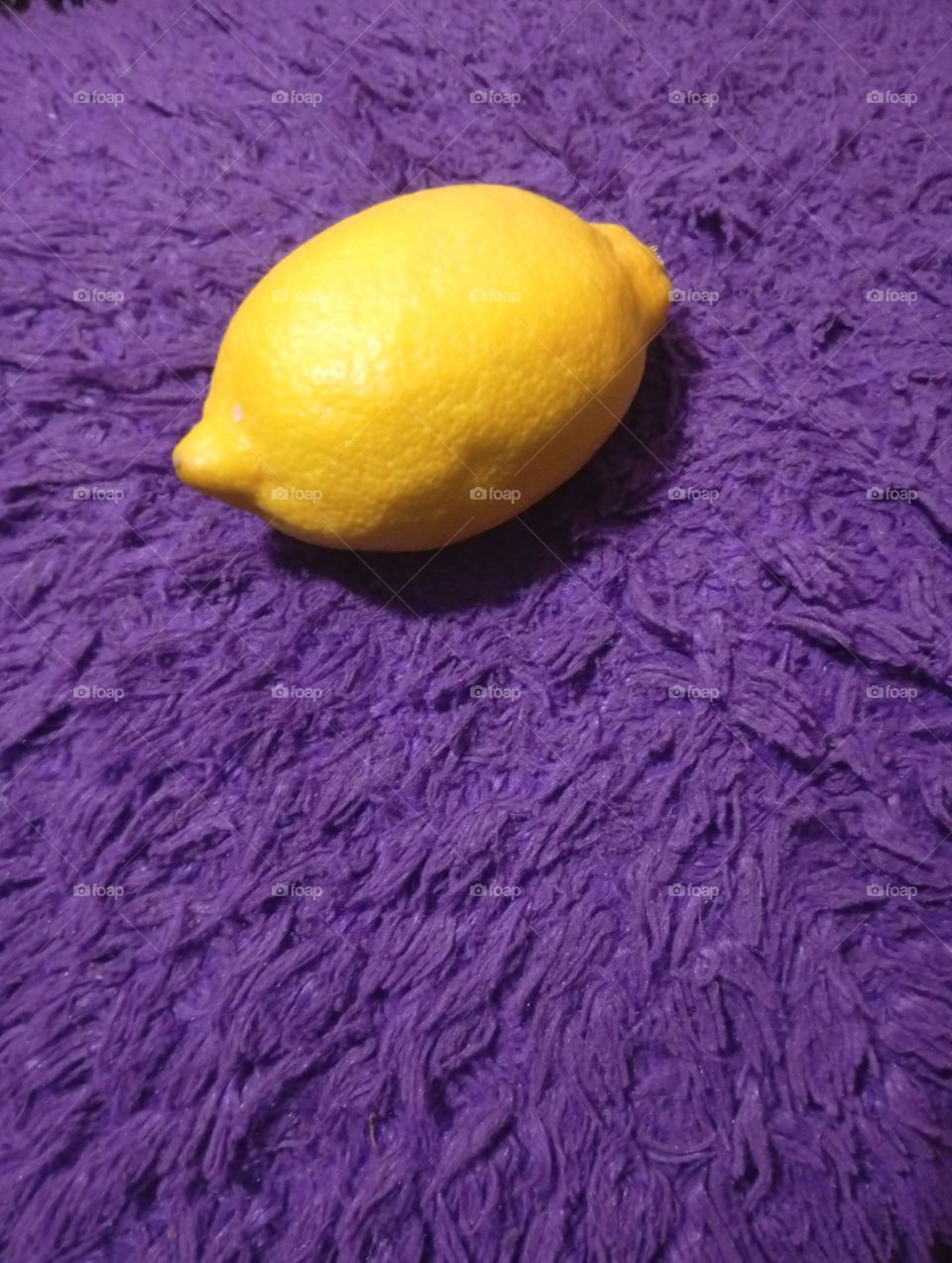 Lemon "Fur" you 😉