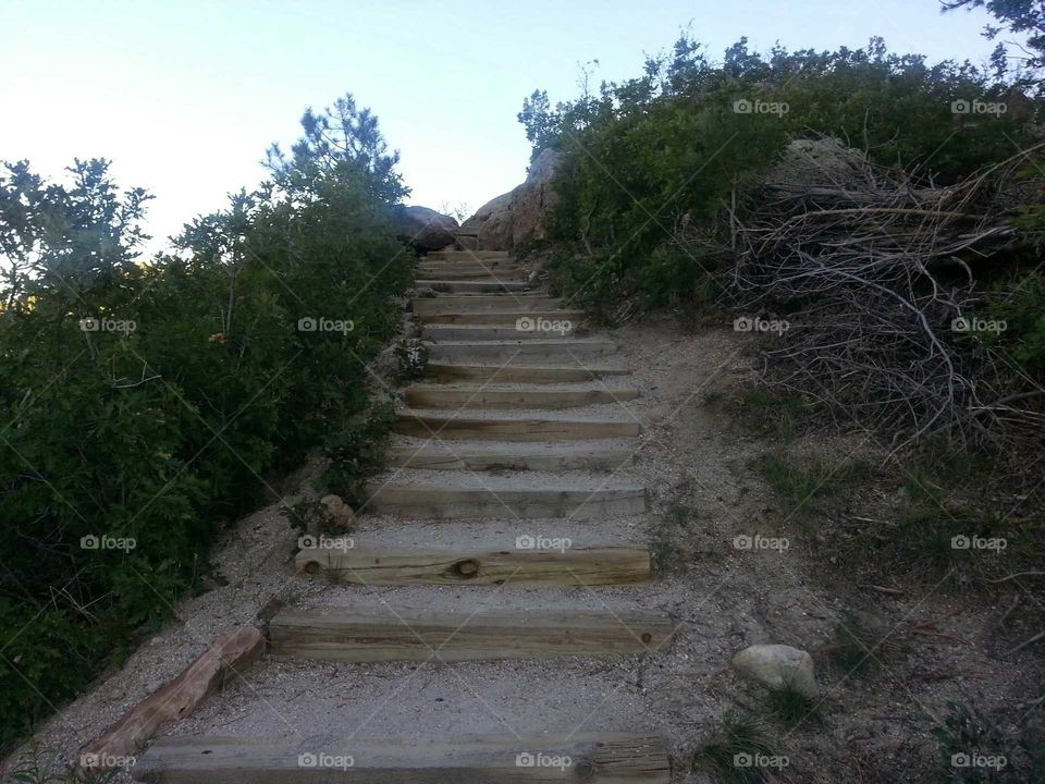 Nature Stairs