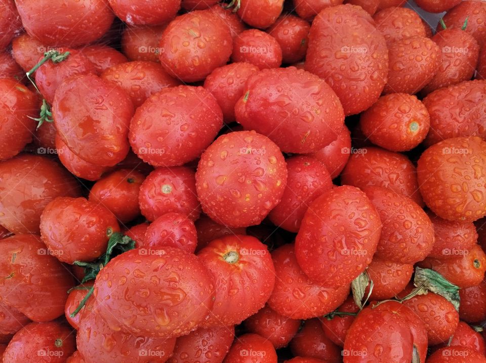 Tomatoes at the sink; Bhakti Sangama Festival