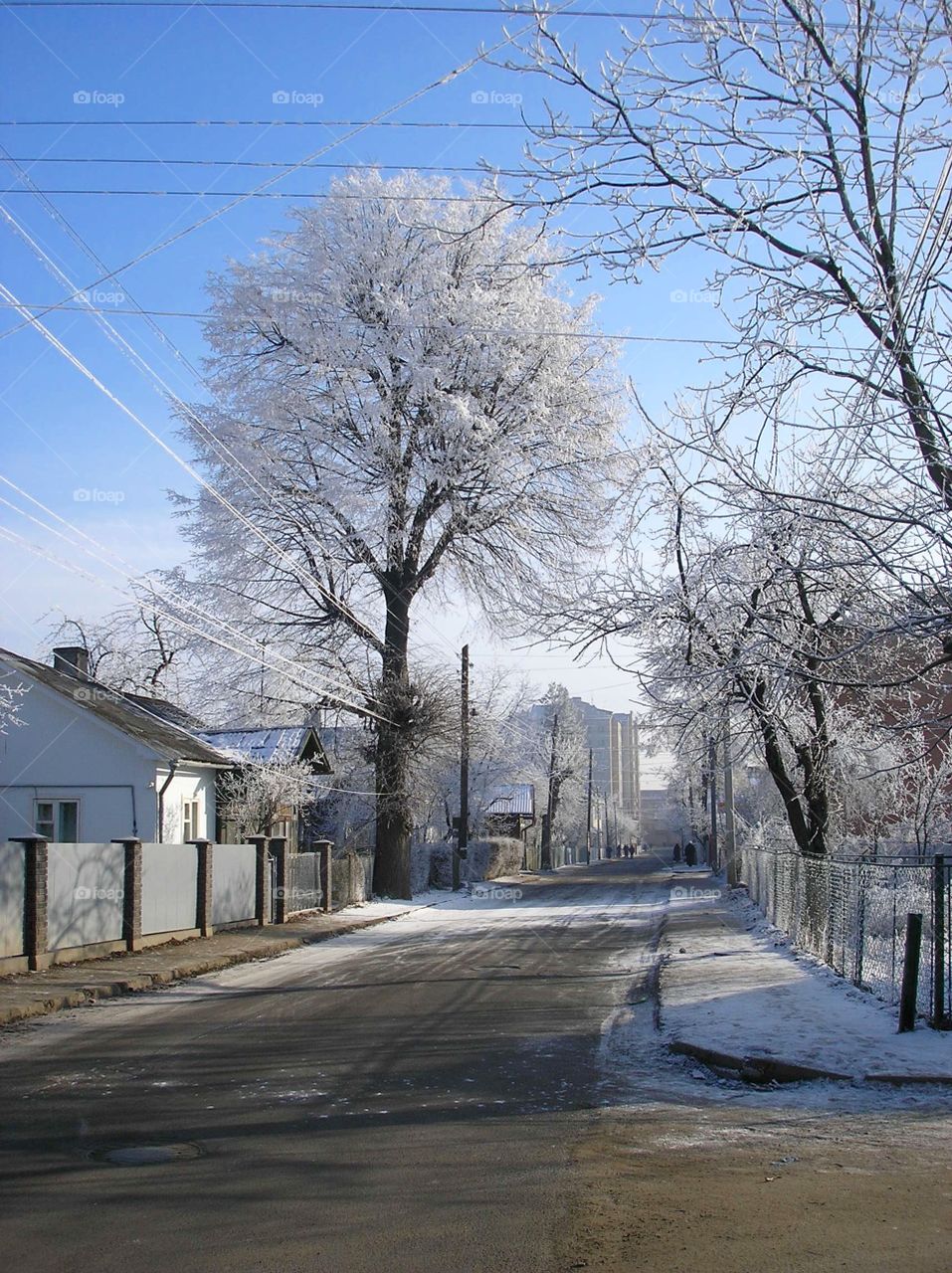 Winter on the streets