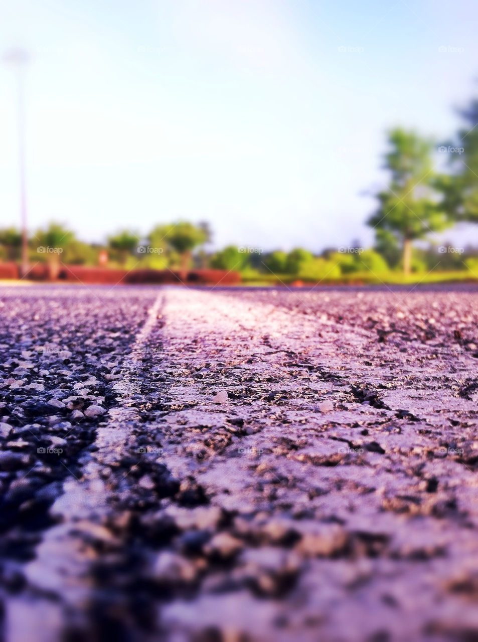 sky ground low trees by creative_bacon