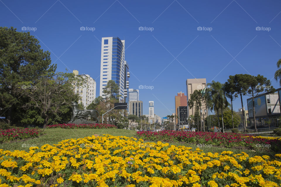 City of Curitiba.