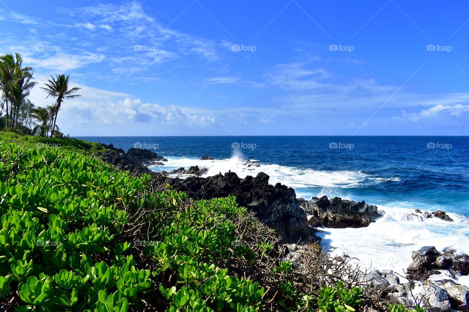 A morning of rain, followed by a glorious afternoon of blue skies and sun along the sea cliffs on the east side of the Big Island