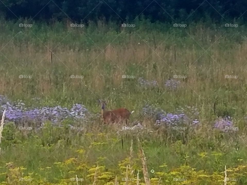 Driving the Back Roads and enjoying everything around us
