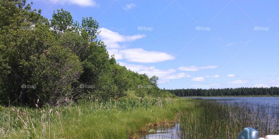 A summer shoreline in wild Northern Ontario