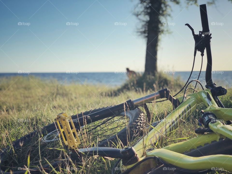 Specialized mtb resting in grass