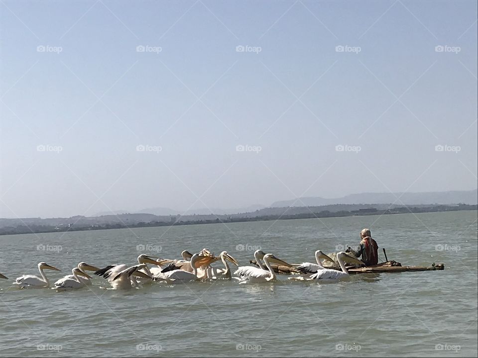 Ethiopia Tana Lake - local fisher 