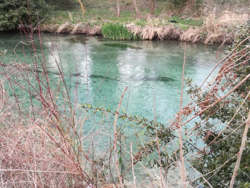 Green river: crystal clear water