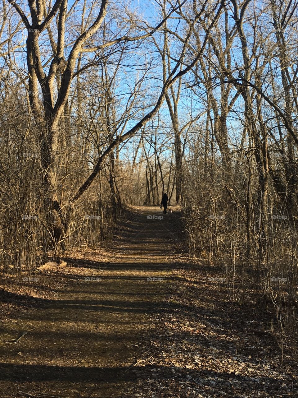 Walking the trail