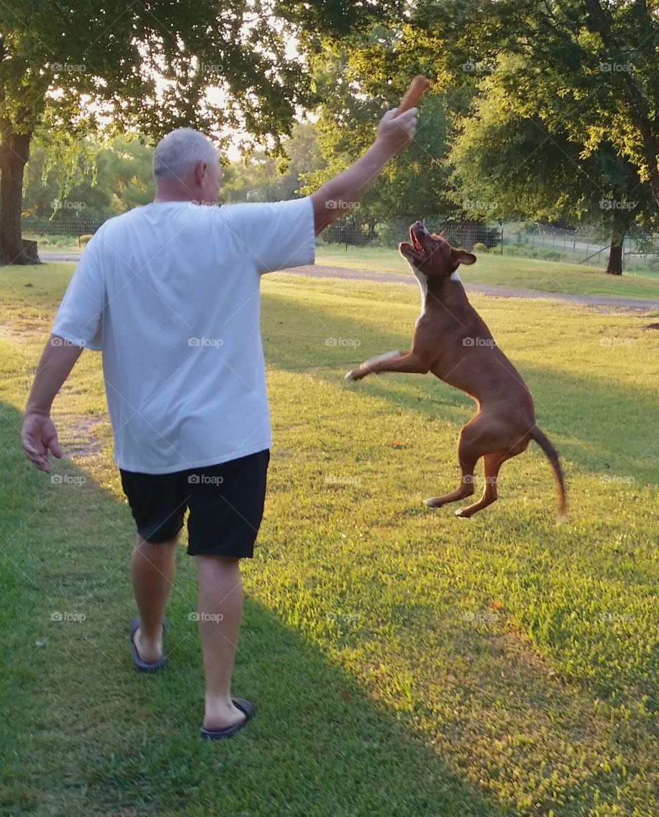 A man playing with a puppy dog