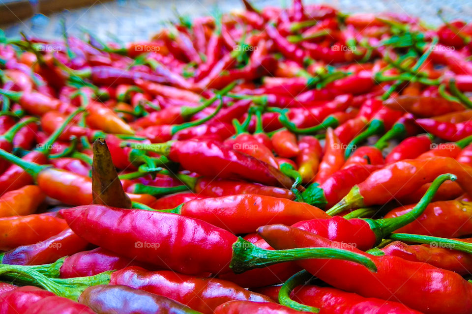 Biswanath Chariali, Assam - 27 June 2017 : Fresh red chillies.