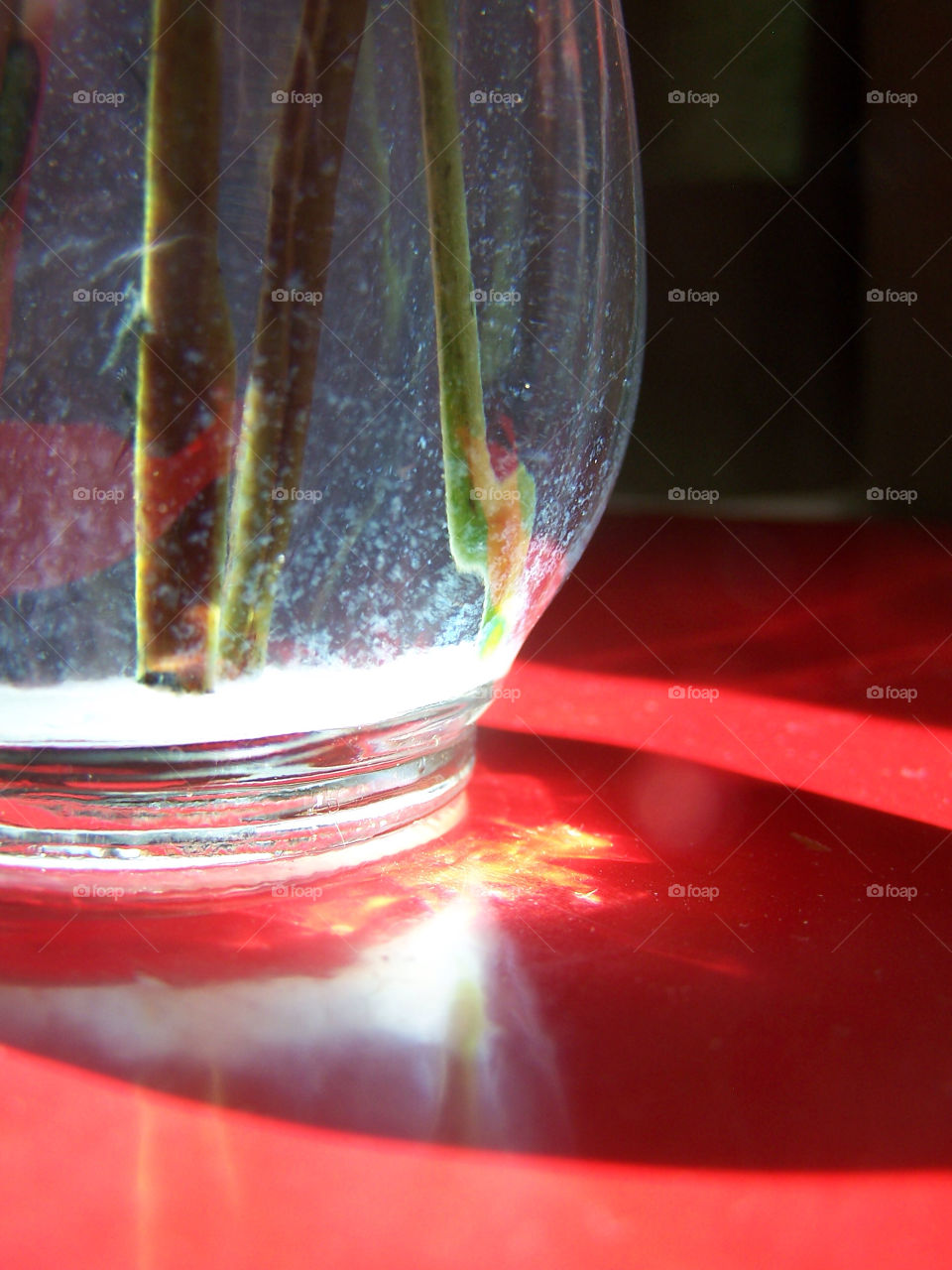 flowers reflection sunlight vase by ashley77