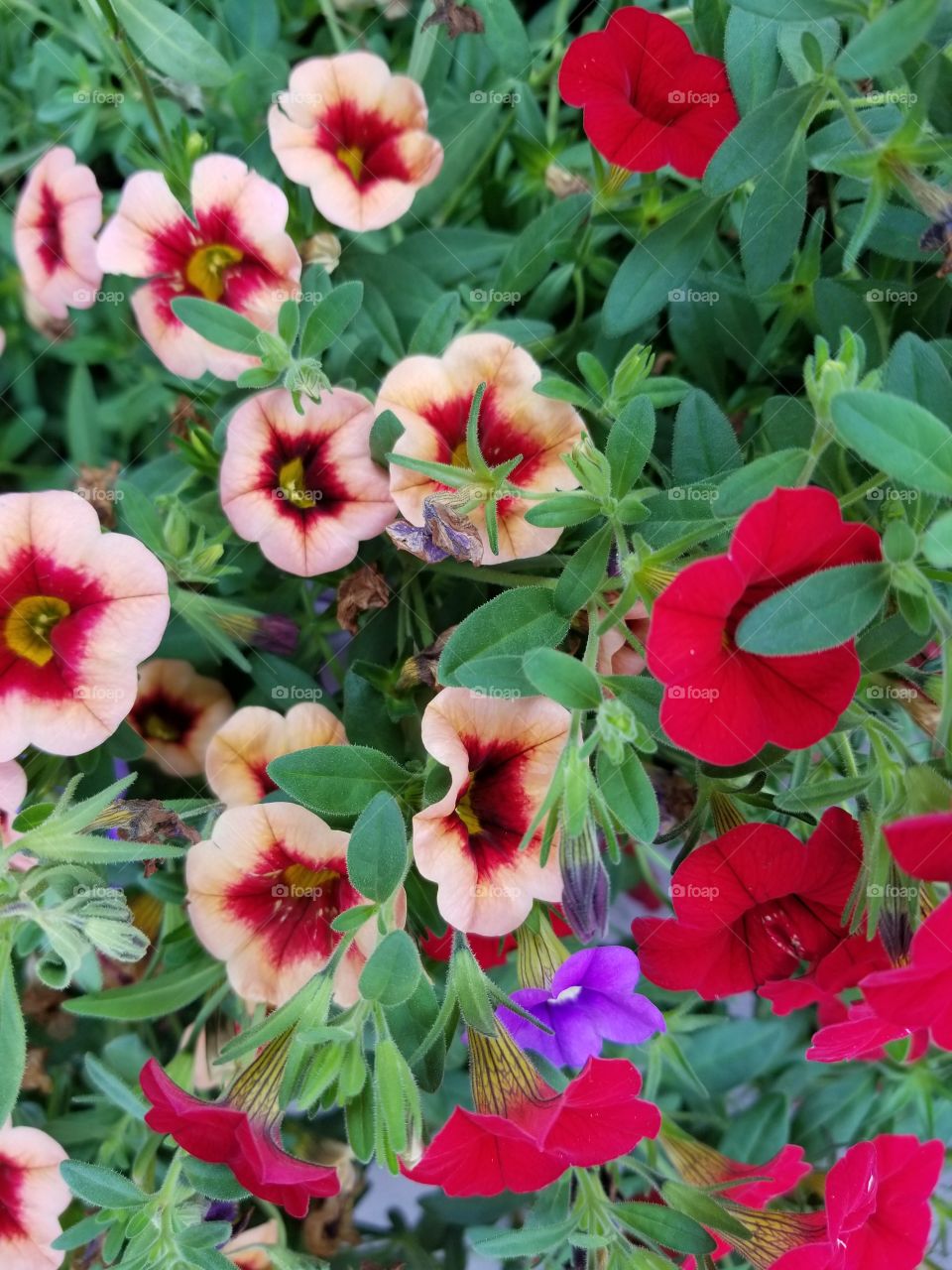 Spring is in the air