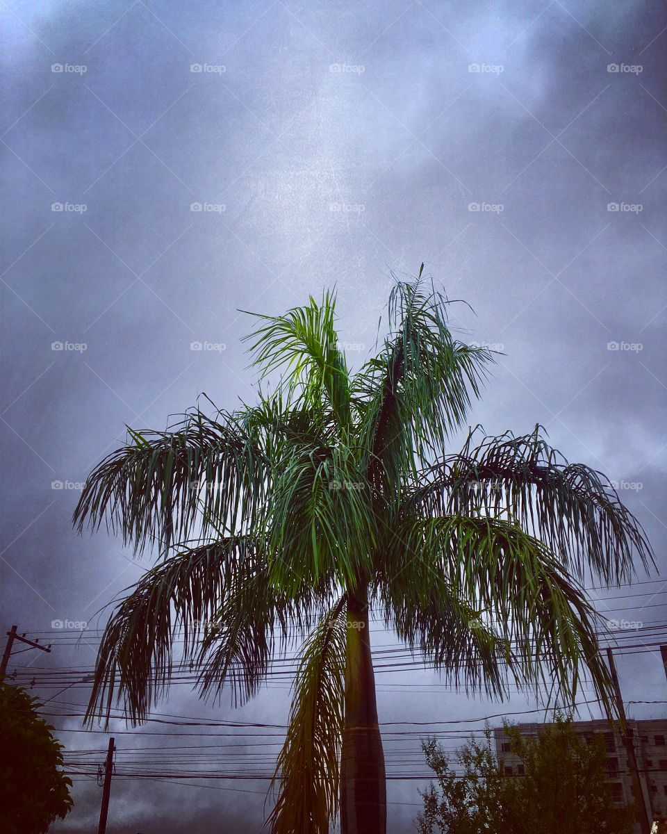 🌅Tudo lusco-fusco no infinito costumeiro azul. Mas há de ser uma boa 2a feira!
🍃
#sol #sun #sky #céu #photo #nature #morning #alvorada #natureza #horizonte #fotografia #pictureoftheday #paisagem #inspiração #amanhecer