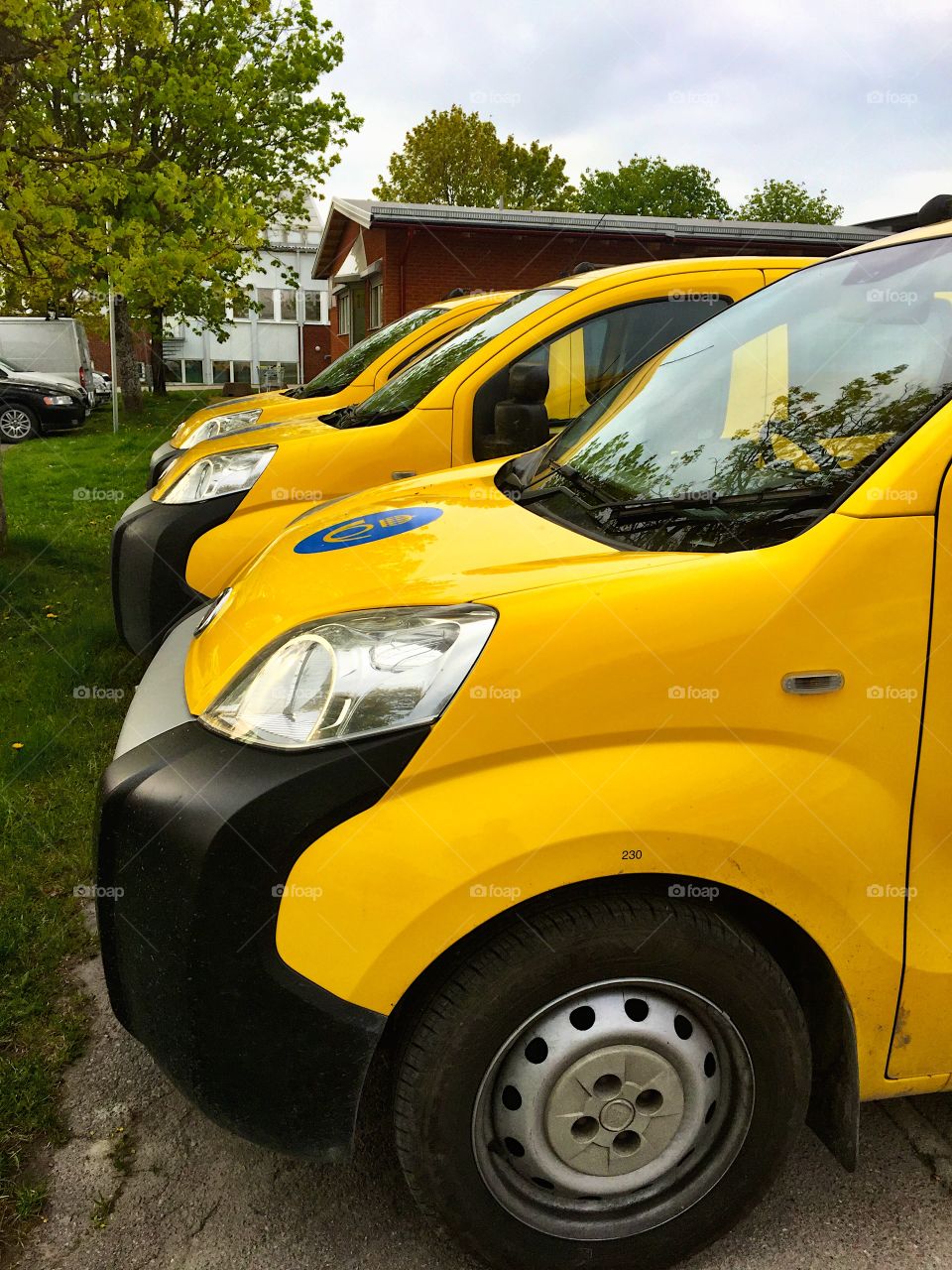 Yellow . Yellow cars! 