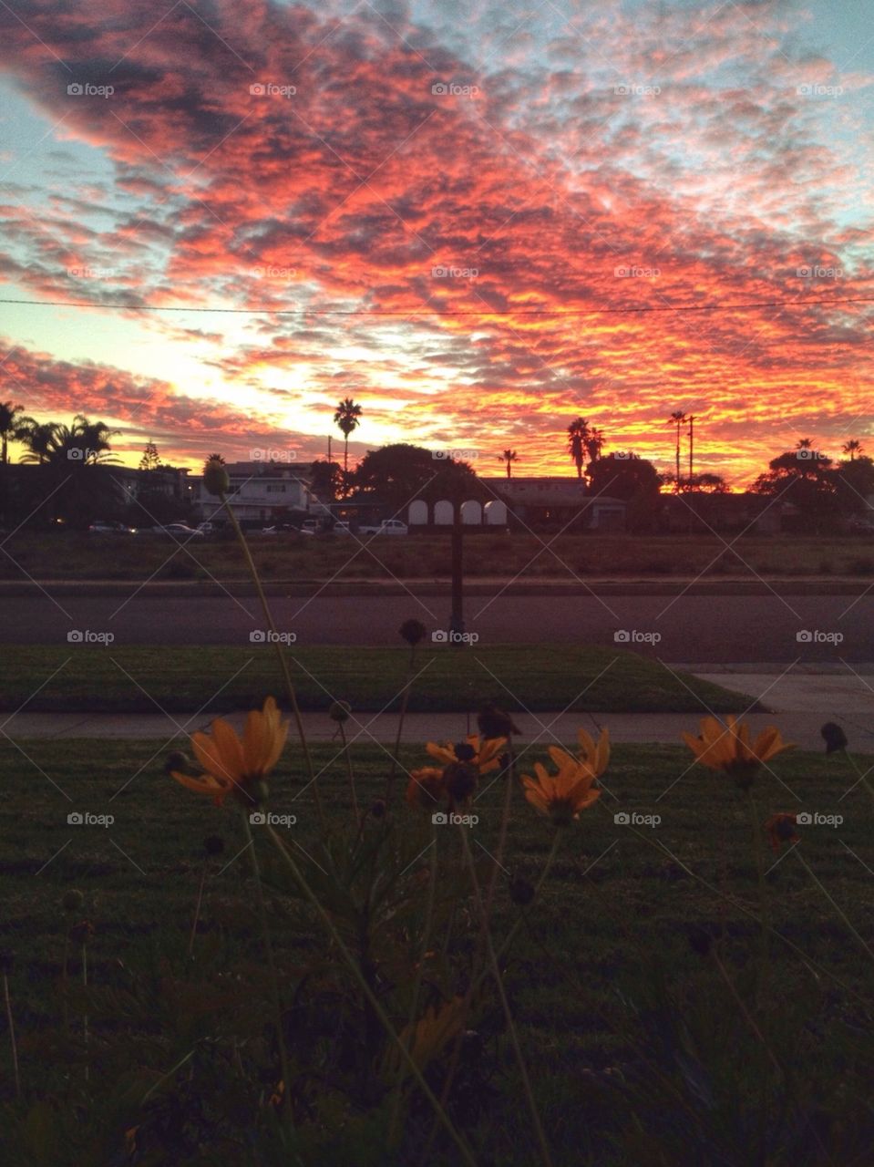 Scenic view of dramatic sky at sunset