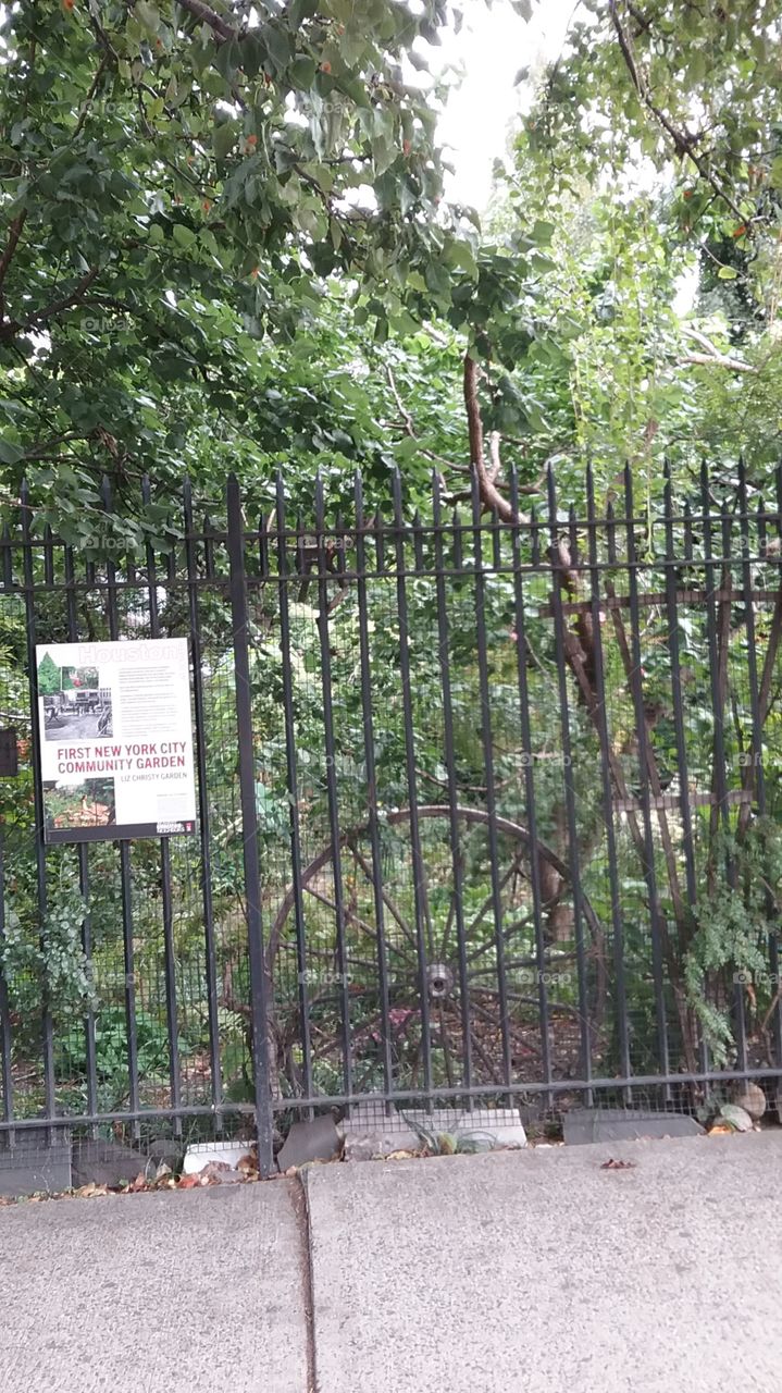 Liz Christy Community Garden iron fence