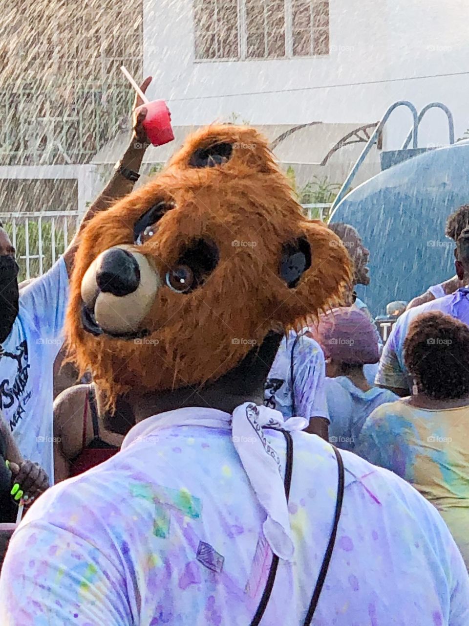 Masquerader wearing a teddy bear mask on his head