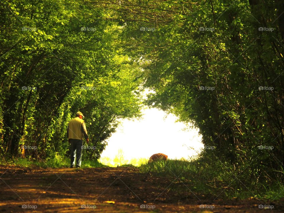 under the green arch