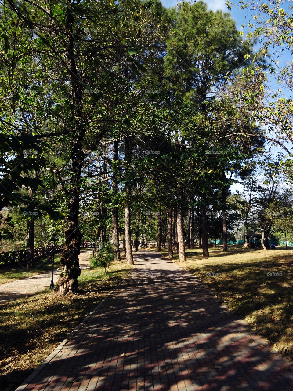 A Walk In The Park. Lake View Park in Islamabad, Pakistan